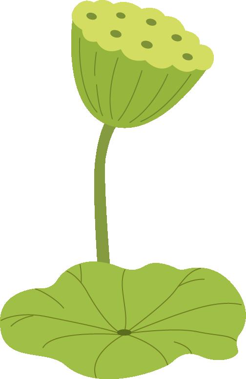 DƬ